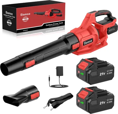 Soffiatore a batteria Bamse 21 V con 2 batterie